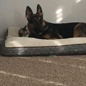 Meet your Posher, Bernice